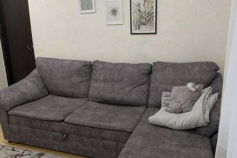 1-комнатная квартира в Псковской области, Псковская область, Псковский р-н , Логозовская волость, д. Неёлово-2, Радужная ул., 8