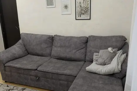 1-комнатная квартира в Псковской области, Псковская область, Псковский р-н , Логозовская волость, д. Неёлово-2, Радужная ул., 8