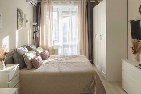 1-комнатная квартира в Санкт-Петербурге, Кузнецовская ул., 58к4