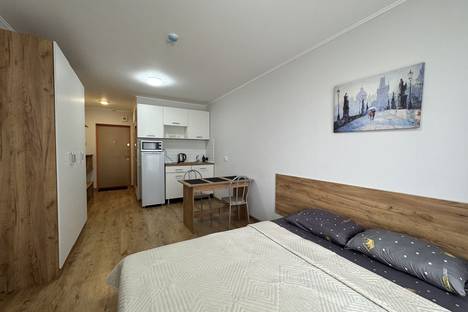 1-комнатная квартира в Парголове, Толубеевский пр-д, 8к2