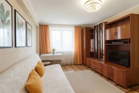 1-комнатная квартира в Самаре, Ново-Садовая ул., 23, м. Алабинская