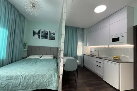 1-комнатная квартира в Санкт-Петербурге, Санкт-Петербург, Фарфоровская ул., 7к2, м. Ломоносовская