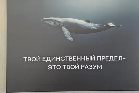 1-комнатная квартира в Пскове, Псков, Завеличенская ул., 26