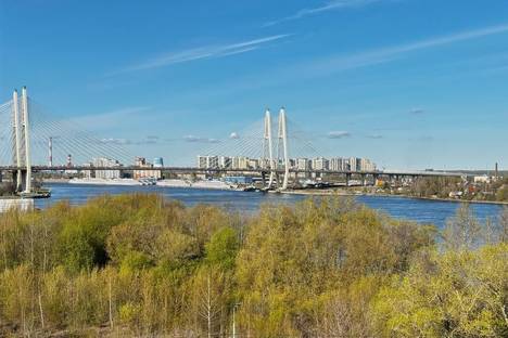 1-комнатная квартира в Санкт-Петербурге, пр-кт Обуховской Обороны, 138к2