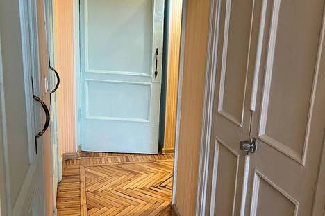 3-комнатная квартира в Санкт-Петербурге, Костромской пр-кт, 20, м. Удельная