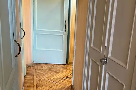 3-комнатная квартира в Санкт-Петербурге, Костромской пр-кт, 20, м. Удельная