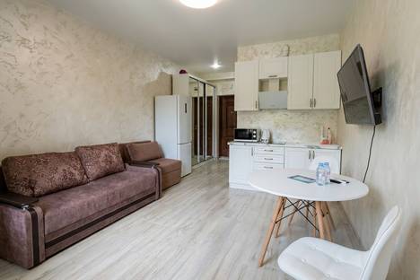 1-комнатная квартира в Сочи, Сочи, ул. Яна Фабрициуса, 66/4