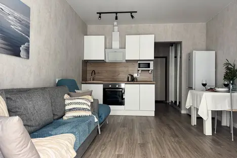 1-комнатная квартира в Адлере, Адлер, ул. Искры, 66/9