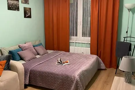 1-комнатная квартира в поселке Песочном, Садовая ул., 81