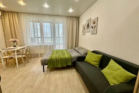 1-комнатная квартира в Казани, Казань, ул. Родины, 26Е