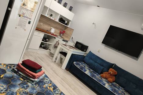 1-комнатная квартира в Тюмени, Тюмень, Вьюжная ул., 15