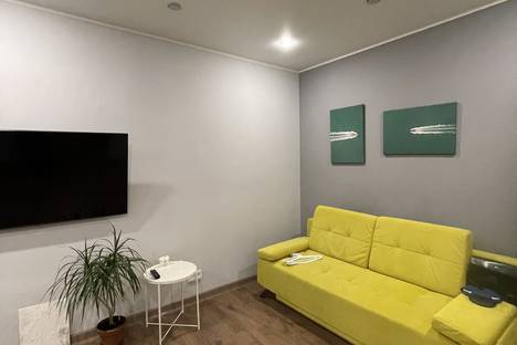 1-комнатная квартира в Казани, ул. Профессора Камая, 10к3