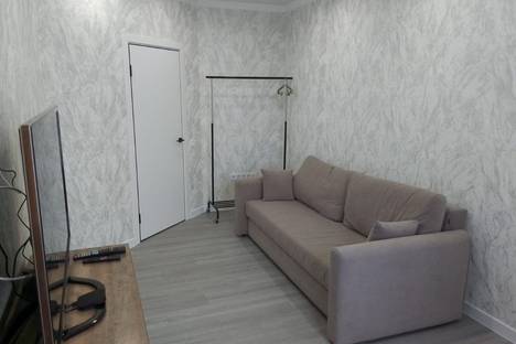 1-комнатная квартира в Ростове-на-Дону, ул. Ларина, 45с2