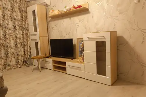 1-комнатная квартира в Брянске, ул. Ромашина, 33