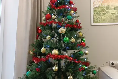 2-комнатная квартира в Москве, Спортивная ул., 2/11