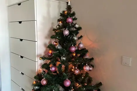 1-комнатная квартира в Сириусе, Урожайная ул., 71/1