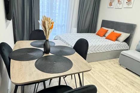 1-комнатная квартира в Адлере, Адлер, ул. Искры, 88к2