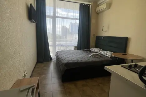1-комнатная квартира в Сочи, Курортный пр-кт, 75к1