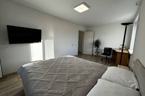 1-комнатная квартира в Нижнем Новгороде, Нижний Новгород, пр-кт Ленина, 24А