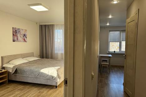 1-комнатная квартира в Нижнем Новгороде, пр-кт Ленина, 24А