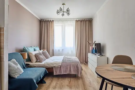 1-комнатная квартира в Санкт-Петербурге, Лыжный пер., 4к3