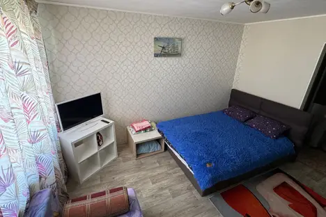 1-комнатная квартира в Екатеринбурге, Дружининская ул., 5А
