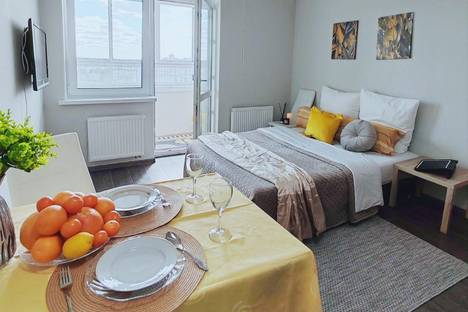 1-комнатная квартира в Екатеринбурге, ул. Новостроя, 5