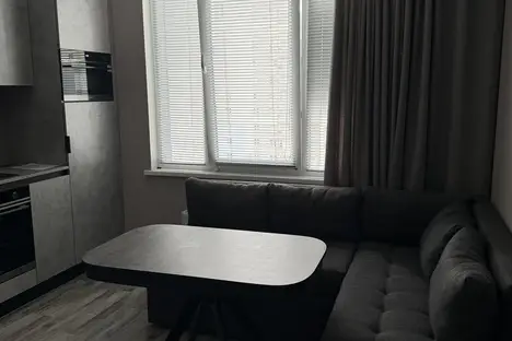 1-комнатная квартира в Санкт-Петербурге, Витебский пр-кт, 99к1