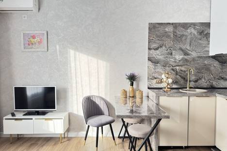 1-комнатная квартира в Челябинске, Челябинск, пр-кт Ленина, 4Д