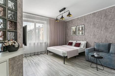 1-комнатная квартира в Шушарах, тер. Пулковское, Переведенская ул., 4к1