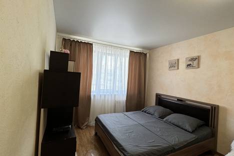 1-комнатная квартира в Ульяновске, мкр. Новый г., пр-кт Ливанова, 16