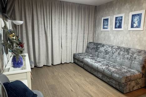 1-комнатная квартира в Санкт-Петербурге, пр-кт Энергетиков, 11к2, м. Ладожская