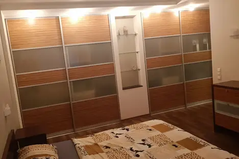 2-комнатная квартира в Нижнем Новгороде, ул. Октябрьской Революции, 45, м. Ленинская