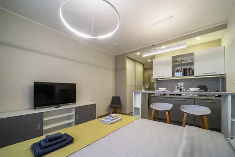 1-комнатная квартира в Санкт-Петербурге, Витебский пр-кт, 101к1, м. Купчино