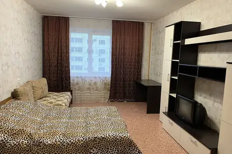 1-комнатная квартира в Воронеже, ул. Шишкова, 144В