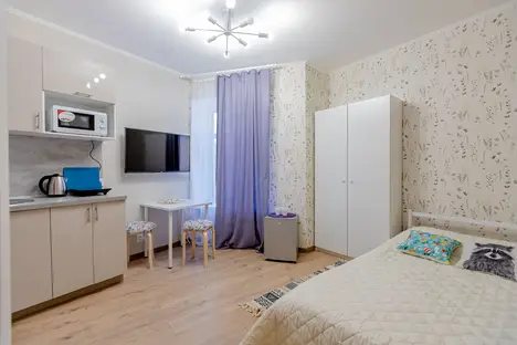 1-комнатная квартира в Санкт-Петербурге, ул. Блохина, 20/7, м. Спортивная