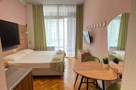 1-комнатная квартира в Сочи, Сочи, Курортный пр-кт, 75к1