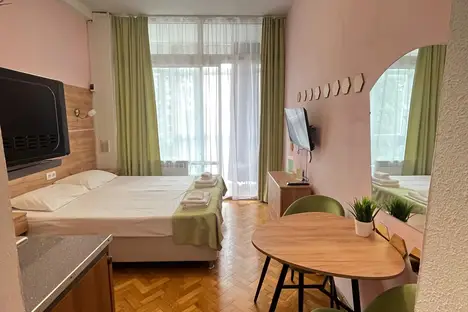 1-комнатная квартира в Сочи, Сочи, Курортный пр-кт, 75к1