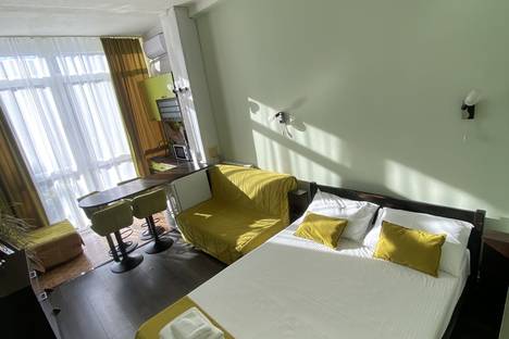 1-комнатная квартира в Сочи, Курортный пр-кт, 75к1