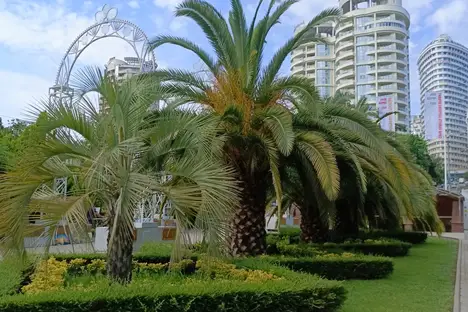 1-комнатная квартира в Сочи, Сочи, мкр. Центральный, Нагорная ул., 12