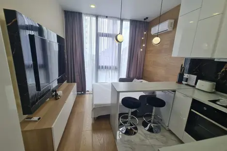 1-комнатная квартира в Сочи, мкр. Светлана, Депутатская ул., 10Б/1