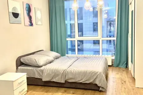 1-комнатная квартира в Парголове, Толубеевский пр-д, 8к2