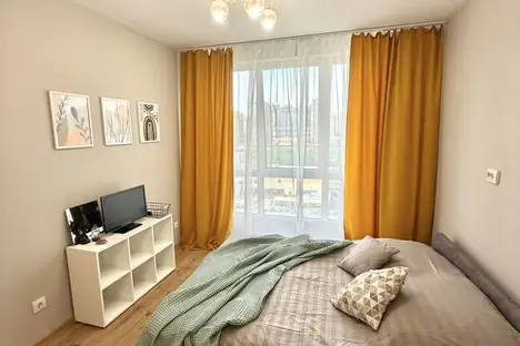 1-комнатная квартира в Парголове, Толубеевский пр-д, 8к2