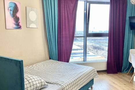 1-комнатная квартира в Парголове, Парголово, Толубеевский пр-д, 8к2