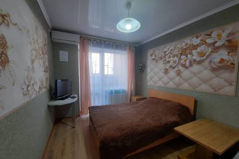 1-комнатная квартира в Ростове-на-Дону, ул. Пановой, 30к3