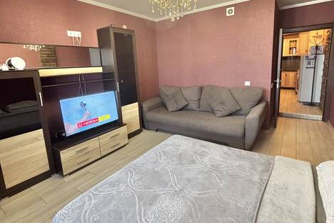 1-комнатная квартира в Красноярске, Красноярск, Судостроительная ул., 155