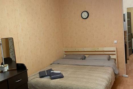 1-комнатная квартира в Санкт-Петербурге, пр-кт Просвещения, 43