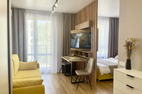 1-комнатная квартира в Адлере, Адлер, ул. Искры, 88к2