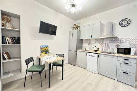 1-комнатная квартира в Санкт-Петербурге, Кузнецовская ул., 58к1