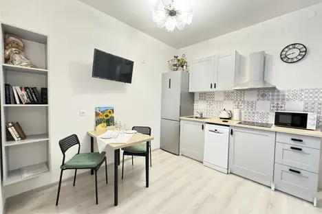 1-комнатная квартира в Санкт-Петербурге, Кузнецовская ул., 58к1